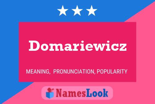 Domariewicz Name Poster