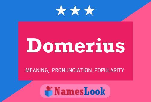 Domerius Name Poster