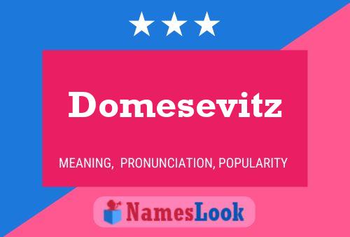 Domesevitz Name Poster