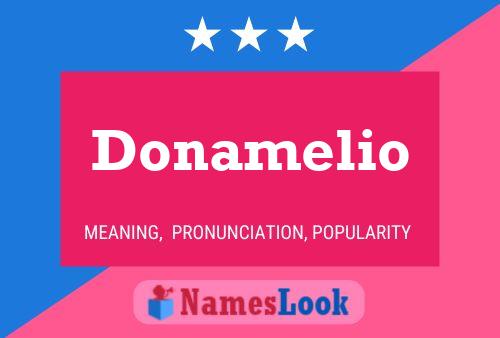 Donamelio Name Poster