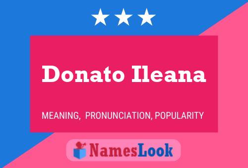 Donato Ileana Name Poster