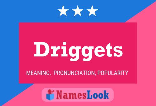 Driggets Name Poster