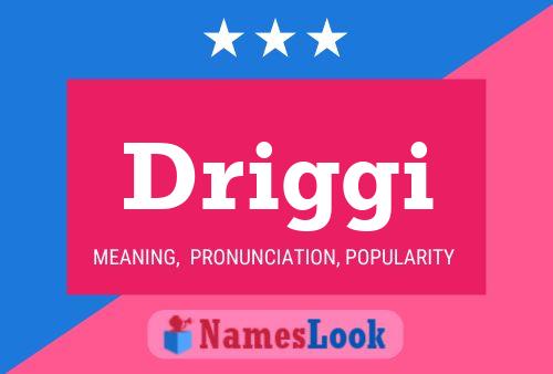 Driggi Name Poster