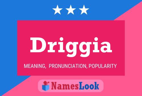 Driggia Name Poster