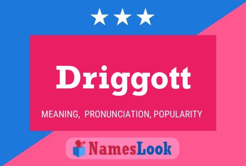 Driggott Name Poster