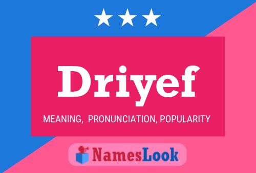 Driyef Name Poster