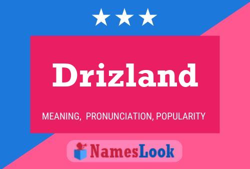 Drizland Name Poster