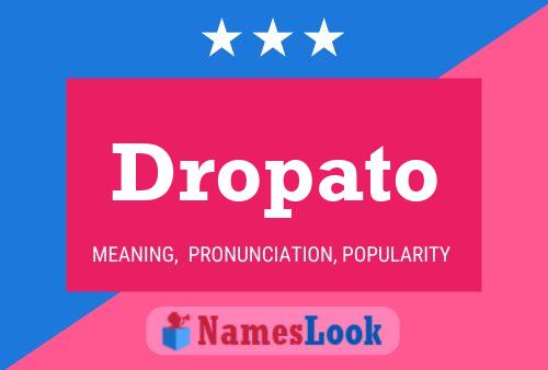 Dropato Name Poster