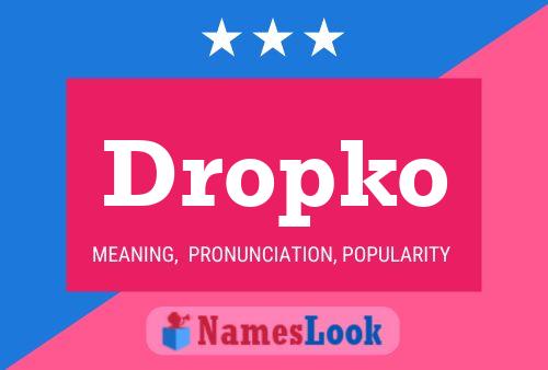 Dropko Name Poster