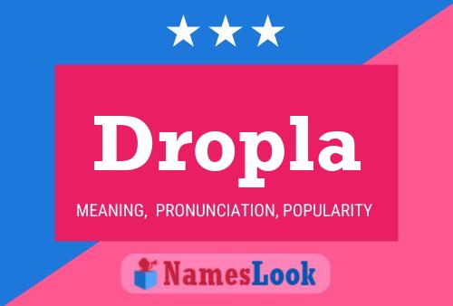 Dropla Name Poster