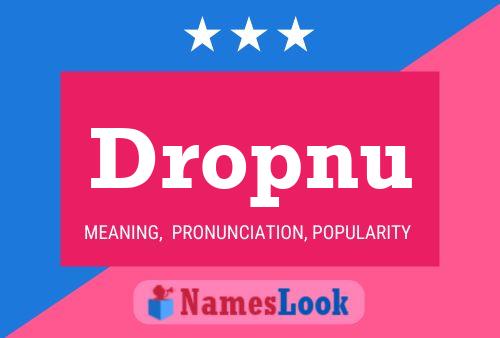 Dropnu Name Poster