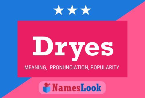 Dryes Name Poster