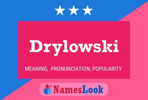 Drylowski Name Poster