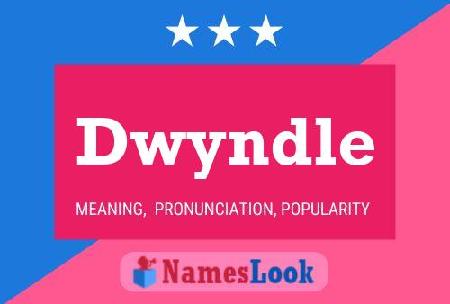 Dwyndle Name Poster