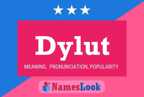 Dylut Name Poster