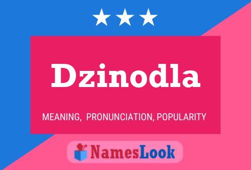 Dzinodla Name Poster