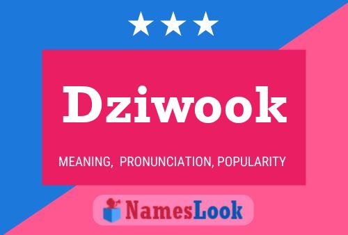 Dziwook Name Poster