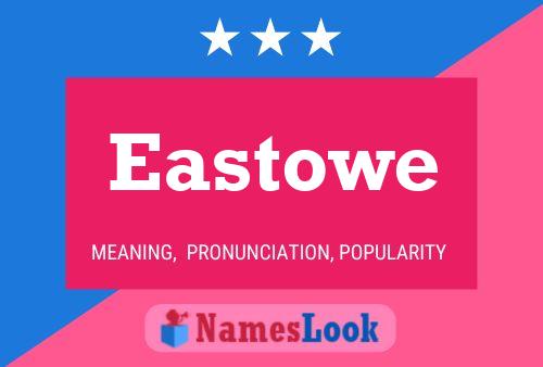 Eastowe Name Poster