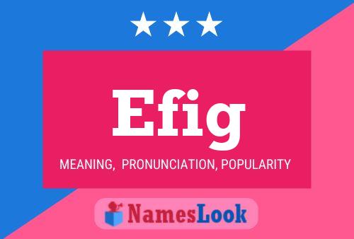 Efig Name Poster