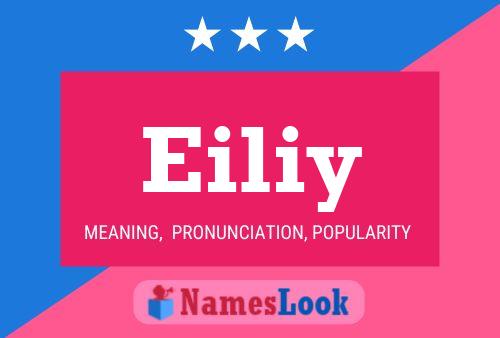 Eiliy Name Poster