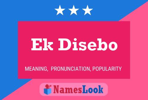 Ek Disebo Name Poster