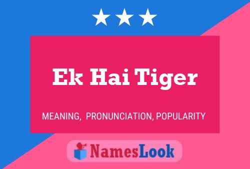 Ek Hai Tiger Name Poster