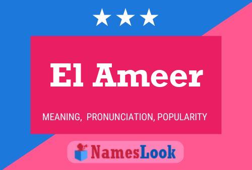 El Ameer Name Poster