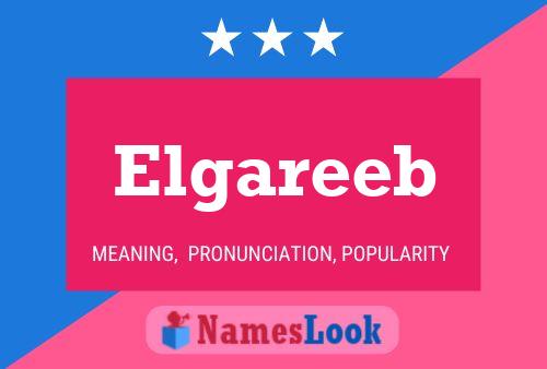 Elgareeb Name Poster