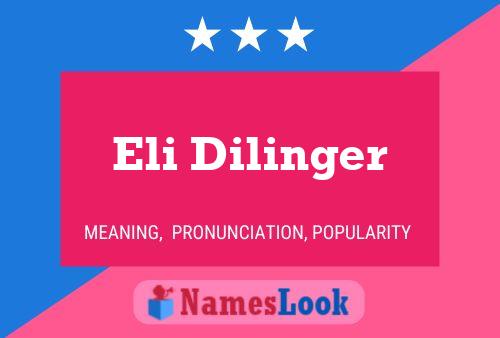 Eli Dilinger Name Poster