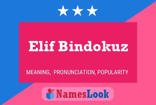 Elif Bindokuz Name Poster