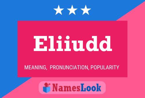 Eliiudd Name Poster