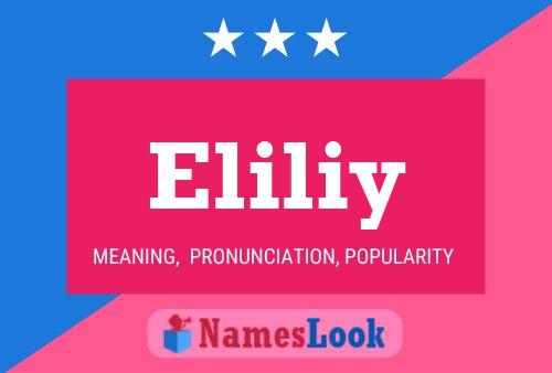 Eliliy Name Poster