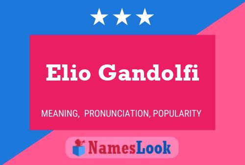 Elio Gandolfi Name Poster