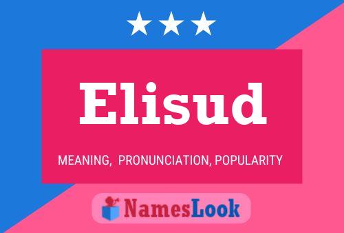 Elisud Name Poster