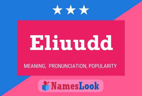 Eliuudd Name Poster