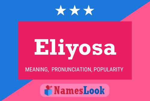 Eliyosa Name Poster