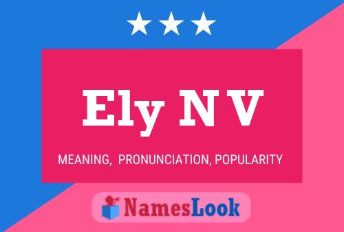 Ely N V Name Poster