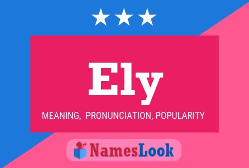 Ely Name Poster