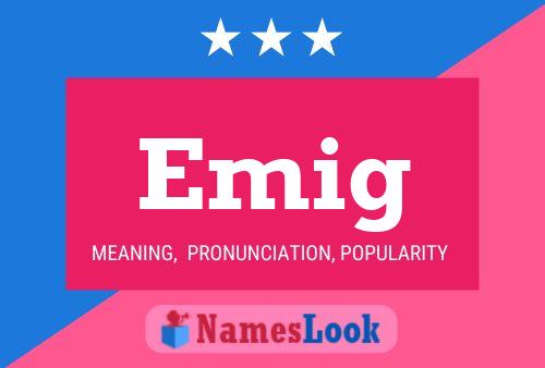 Emig Name Poster