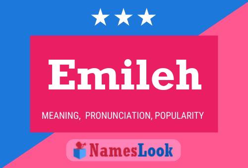 Emileh Name Poster