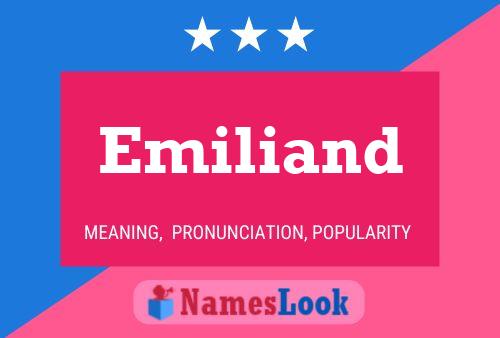 Emiliand Name Poster