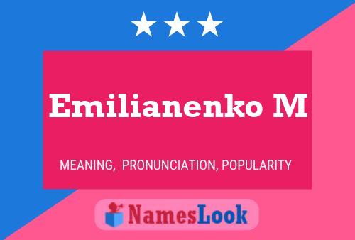 Emilianenko M Name Poster