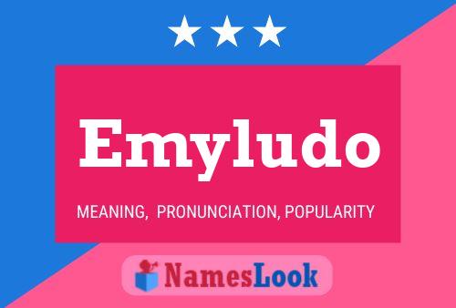 Emyludo Name Poster