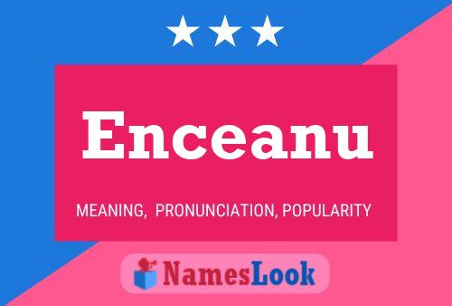 Enceanu Name Poster