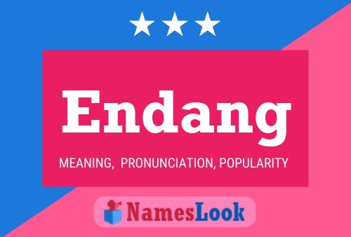 Endang Name Poster