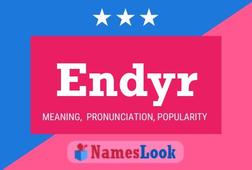 Endyr Name Poster