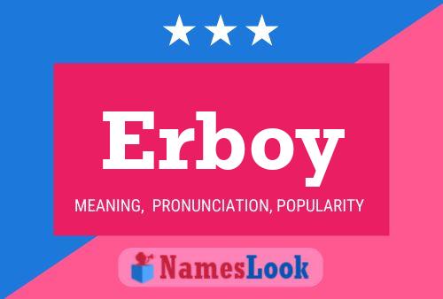 Erboy Name Poster