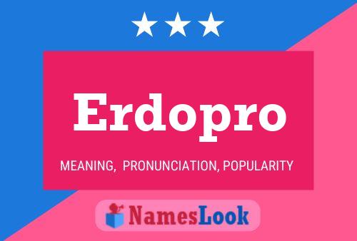 Erdopro Name Poster