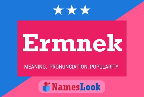 Ermnek Name Poster