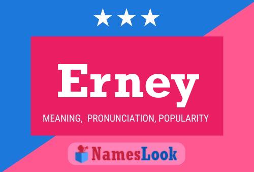 Erney Name Poster